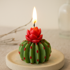 cruelty free Season Bloom Soy Candles 