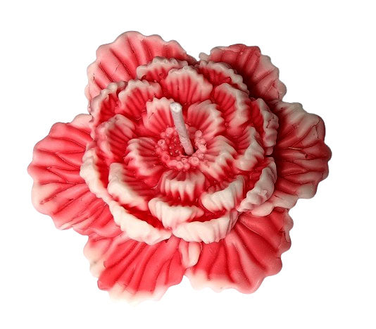 cruelty free Season Bloom Soy Candles -flower